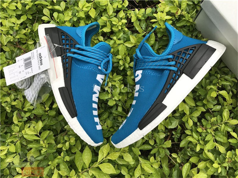 Original Pharrell x adidas NMD Human Race Blue BB0618